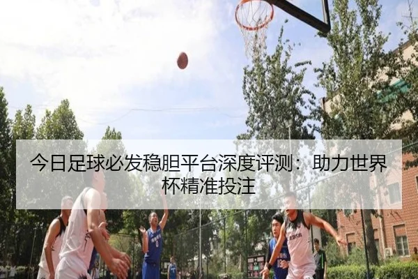 今日足球必发稳胆平台深度评测：助力世界杯精准投注