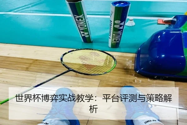 世界杯博弈实战教学：平台评测与策略解析